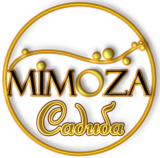 САДИБА МІМОЗА  CОЛОТВИНО